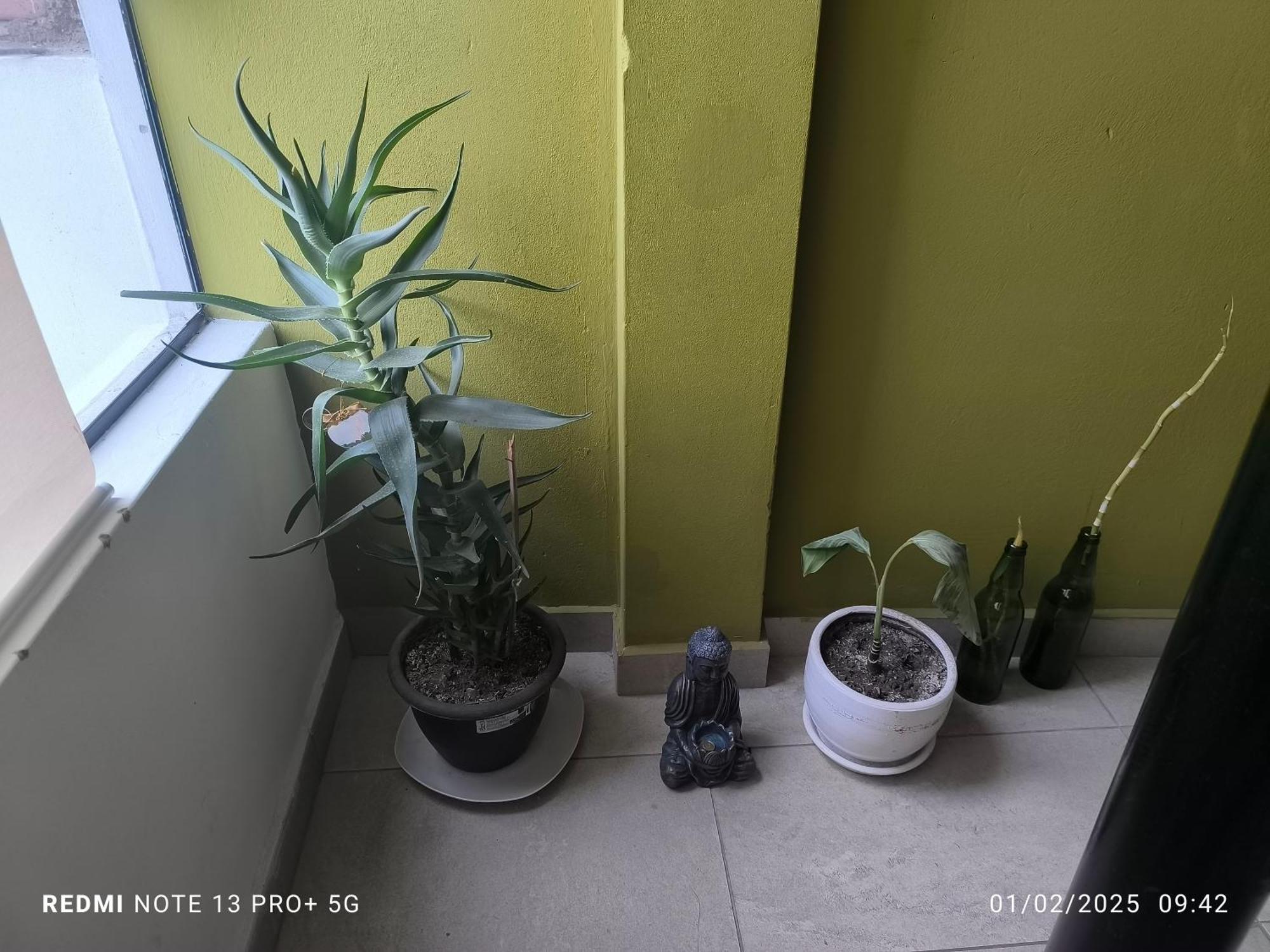 Apartment Blessed Iii Lima